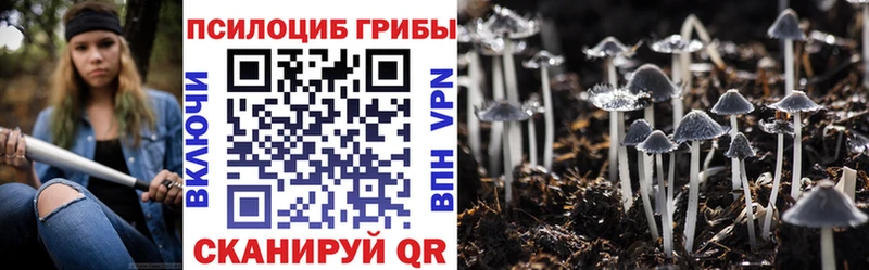 Псилоцибиновые грибы мицелий  Купить где  Слободской 